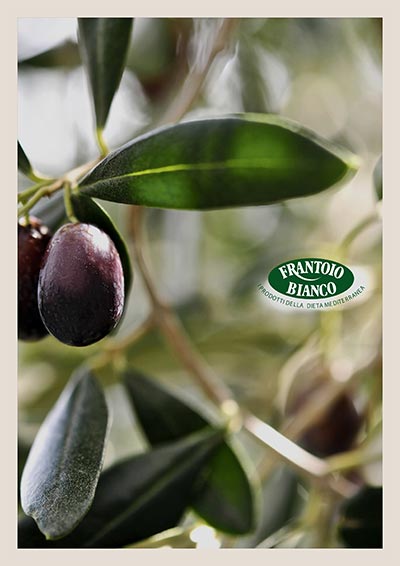 immagine catalogo frantoio b