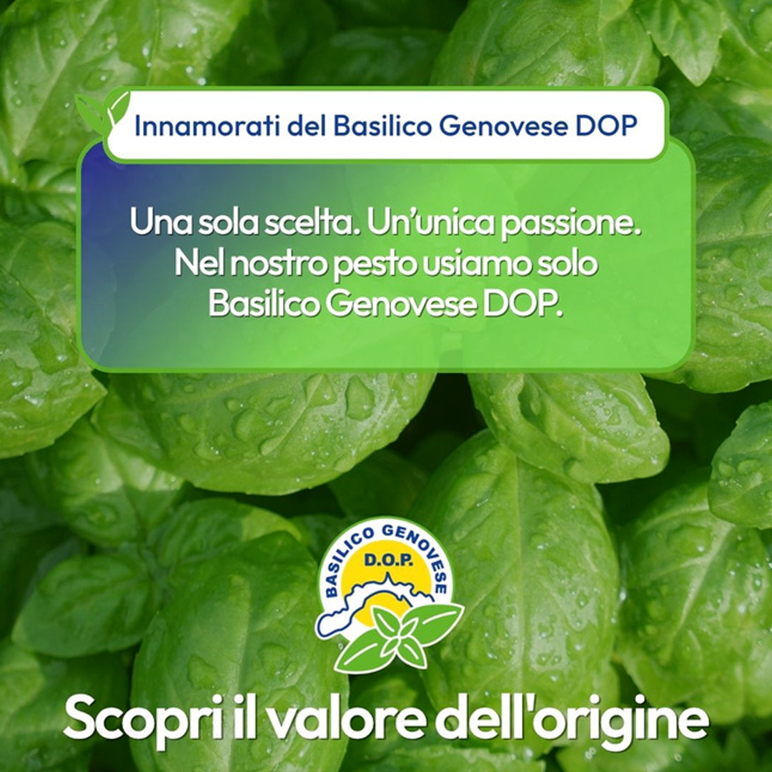 innamorati del basilico