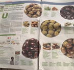articolo Repubblica 2016