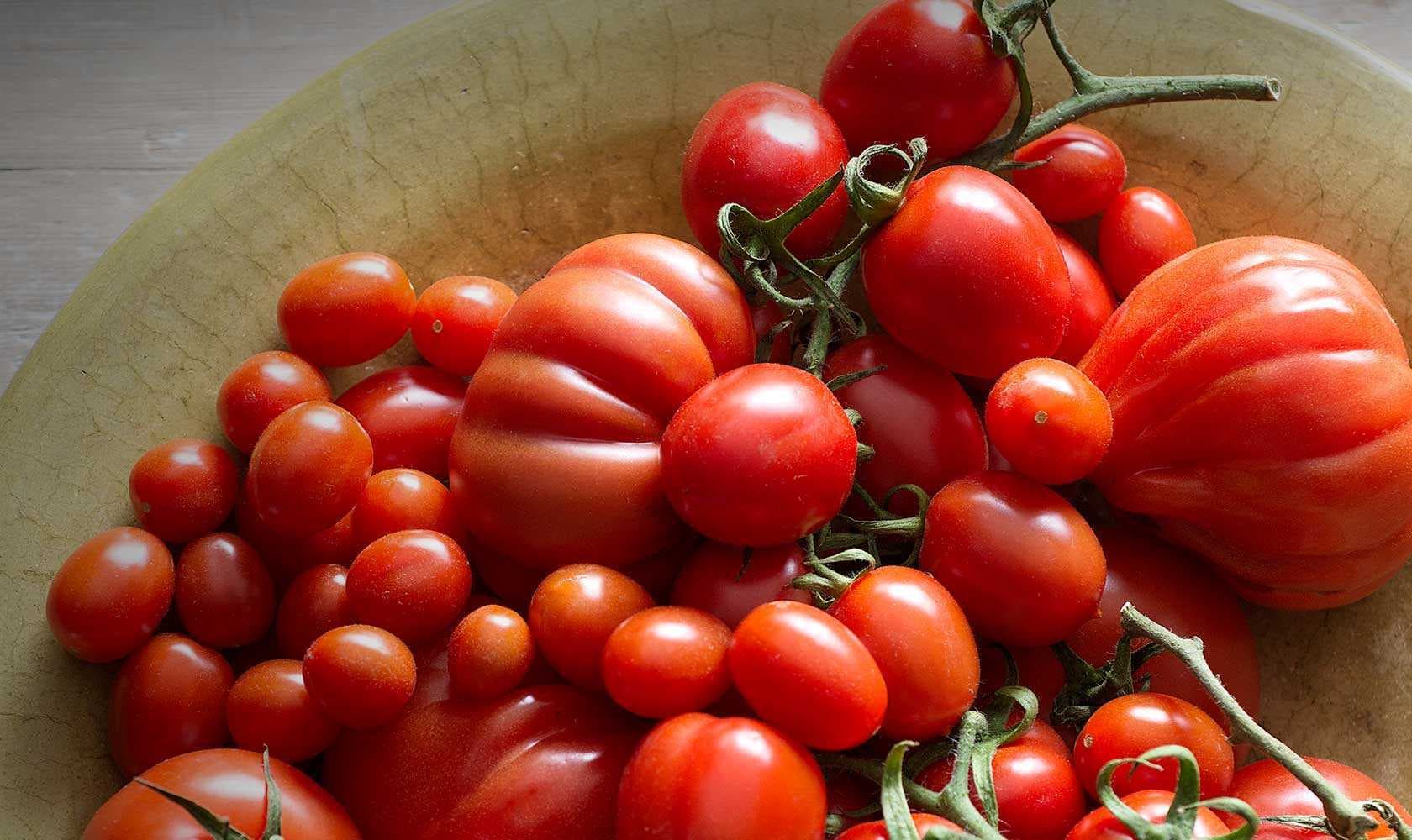 italienisch fertig gemacht Tomaten sauce für pasta